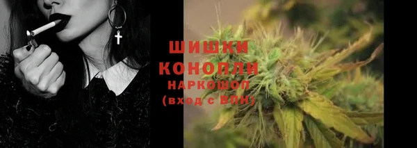 PSILOCYBIN Балахна